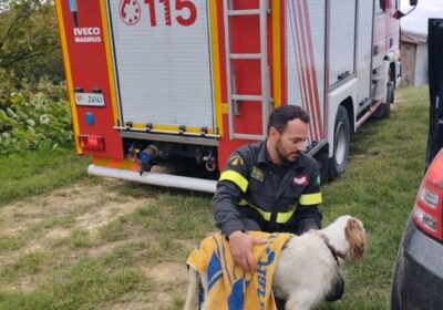 Buronzo, i vigili del fuoco soccorrono un cane intrappolato nel torrente Cervo