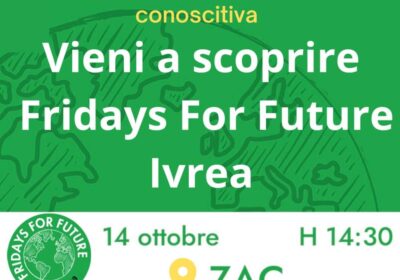 Ivrea, assemblea di Fridays For Future allo Zac