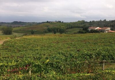 Alto Piemonte Gran Monferrato candidate a Città Europea del Vino 2024