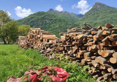 Valsesia, 2 denunce dei carabinieri forestali per furto aggravato di legname e deturpazione