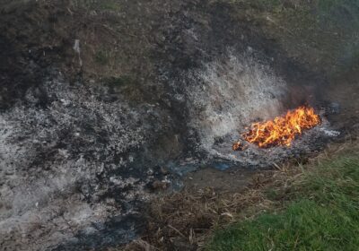 Albano, bruciava rifiuti tra le risaie: denunciato dai carabinieri forestali