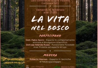 Gattinara, ‘La vita nel Bosco’