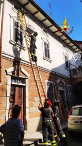 Livorno Ferraris, i vigili del fuoco recuperano un gatto in difficoltà