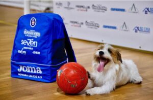 Calcio a 5, tutti i gironi della serie D