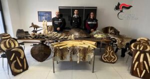 Masserano, i carabinieri Cites sequestrano 95 reperti di pelli animali e 15 trappole a un ‘collezionista’