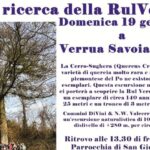 Verrua Savoia, domenica 19 la camminata alla Ricerca del Rul Verda