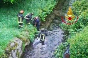 Bianzè, i vigili del fuoco recuperano un cane in un canaletto