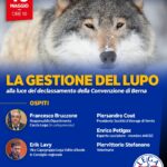 Pollein, incontro della Lega sulla gestione del lupo