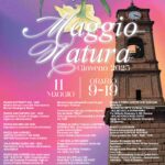 Giaveno, Maggionatura per le vie del centro storico