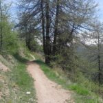 Sestriere, domenica il Trail sui Sentieri dei Campioni
