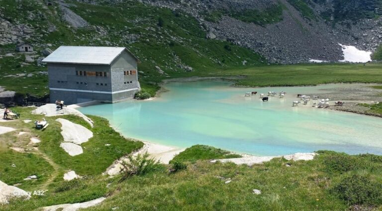 ESCURSIONE NEL PARCO NAZIONALE GRAN PARADISO – Sabato 23 agosto 2025 dalle 9,30