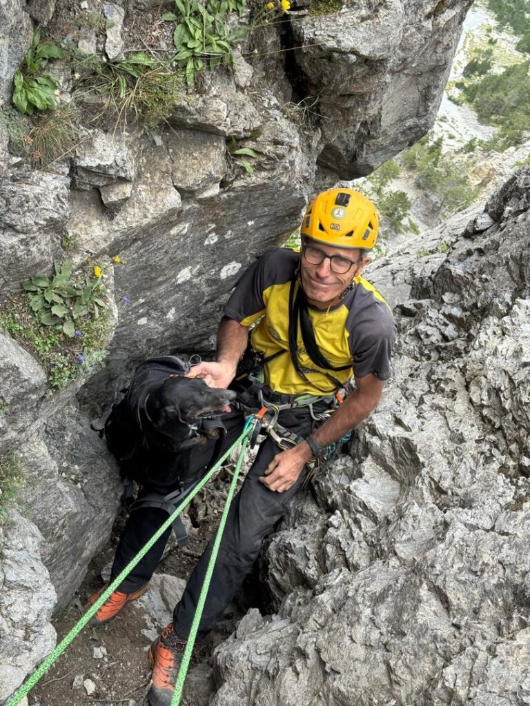 Bardonecchia, 3 cani precipitano in un canalone ma vengono salvati