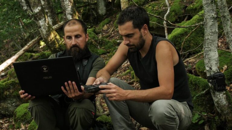 Verrua Savoia, un video sul gatto selvatico della Val Borbera