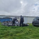 Cigliano, pneumatici abbandonati: i carabinieri forestali denunciano il responsabile