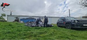 Cigliano, pneumatici abbandonati: i carabinieri forestali denunciano il responsabile