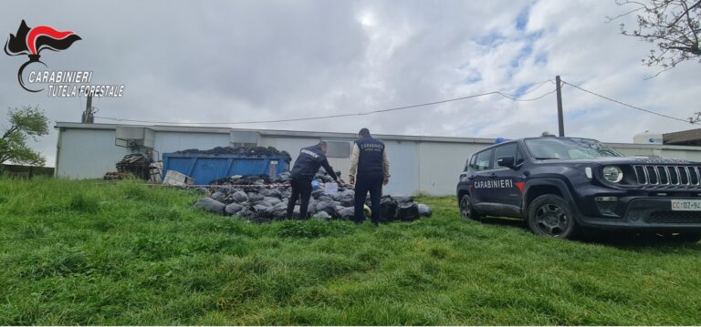 Cigliano, pneumatici abbandonati: i carabinieri forestali denunciano il responsabile