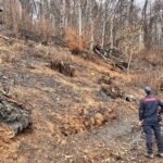 Coassolo Torinese, individuato un presunto responsabile dell’incendio boschivo