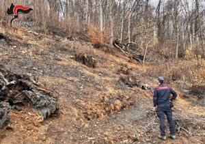 Coassolo Torinese, individuato un presunto responsabile dell’incendio boschivo