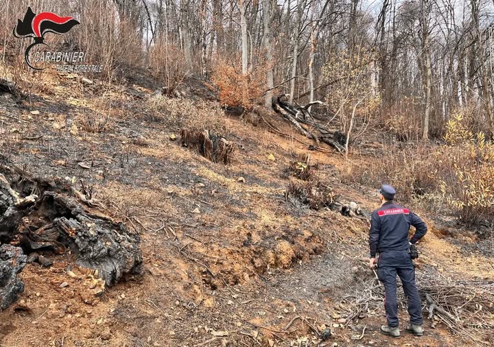 Coassolo Torinese, individuato un presunto responsabile dell’incendio boschivo