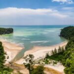 Bruno Manser e la lotta per la diversità: un esempio di resistenza ambientale