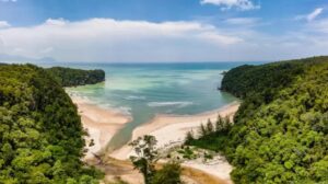 Bruno Manser e la lotta per la diversità: un esempio di resistenza ambientale