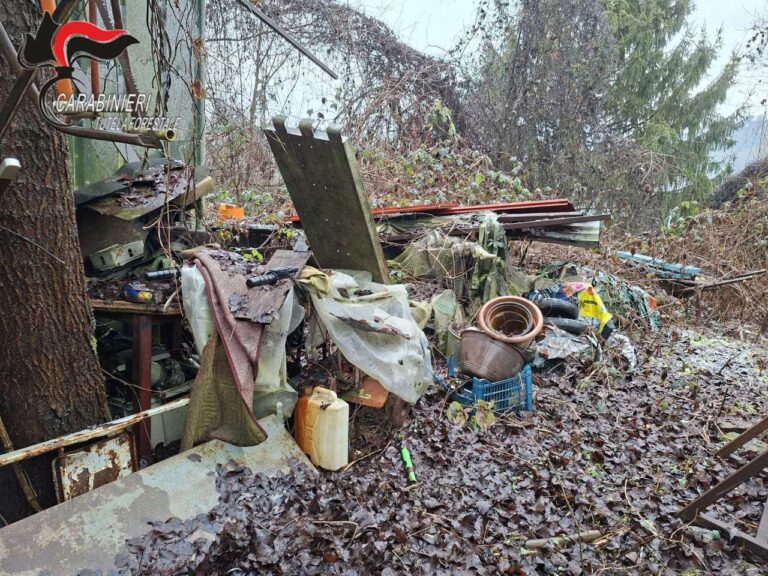 Gassino Torinese, sequestrata un’area di 2000 metri quadrati dai carabinieri forestali