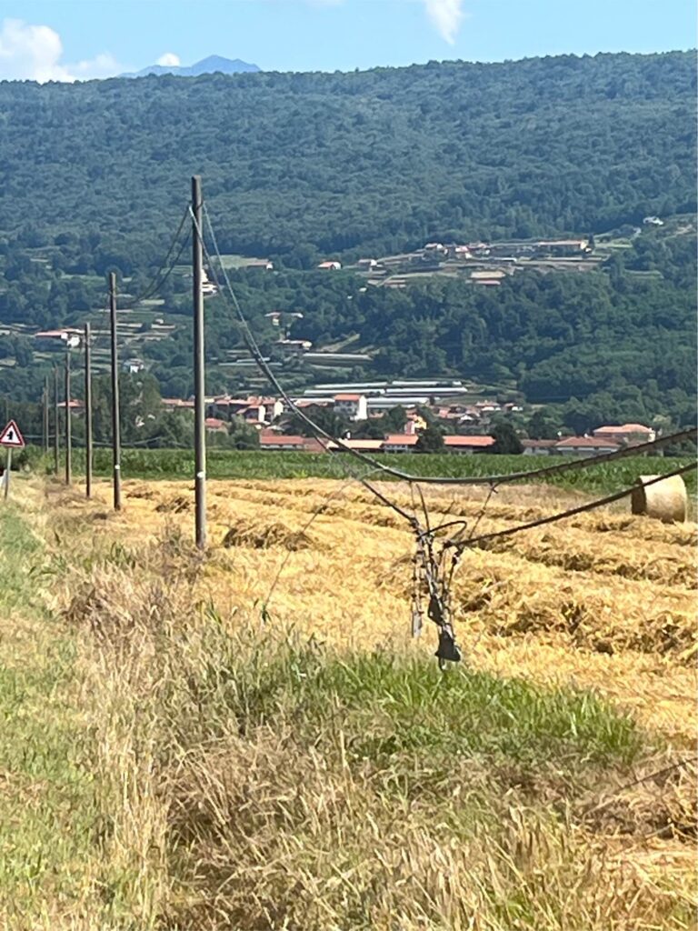 Bollengo, Ricca scrive a FiberCop per i pali telefonici ammalorati