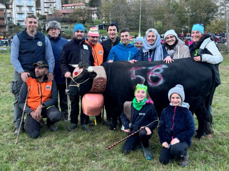 Cafasse, ripartono i confronti tra le Reines
